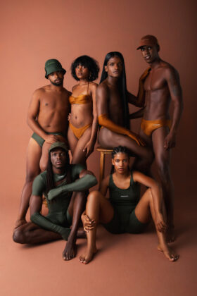 Coleção da Dendezeiro Tropical