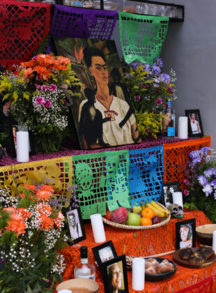 Metzi Estudio Cumaru1 1