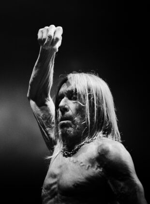 IL20230110152700 Credit Vincent Guignet 2 Easy Resize.com