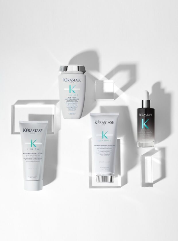 324634711 577636341042744 3218916798185839817 n