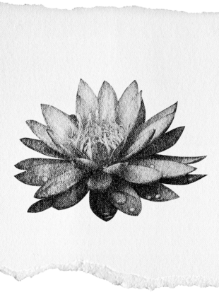 Coluna da Vivi Destaque Home 2