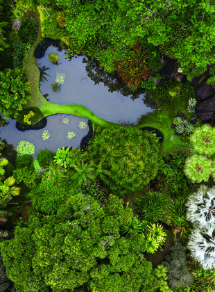 Burle Marx: vista aérea do sítio do paisagista em Barra de Guaratiba