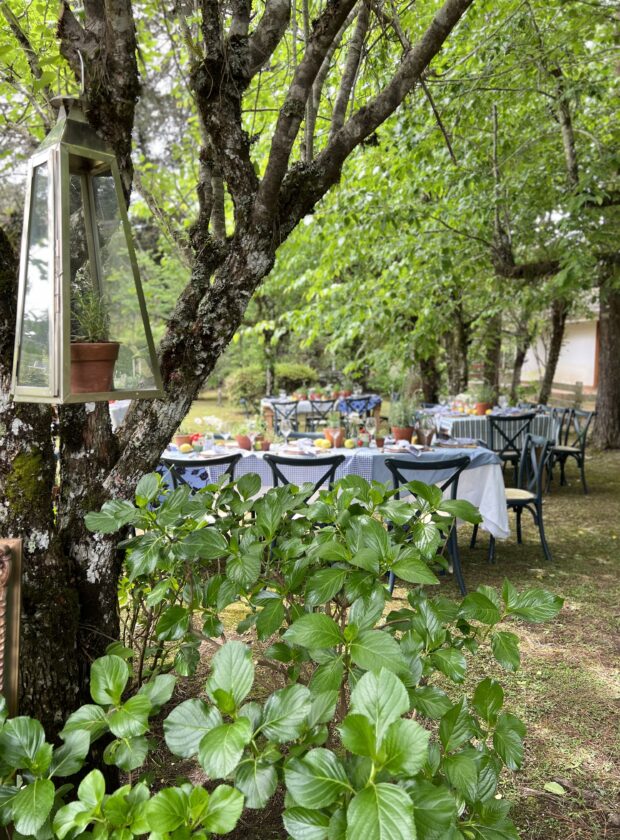 mesa ao ar livre primavera