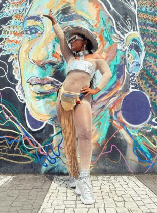 meia-calça arrastão