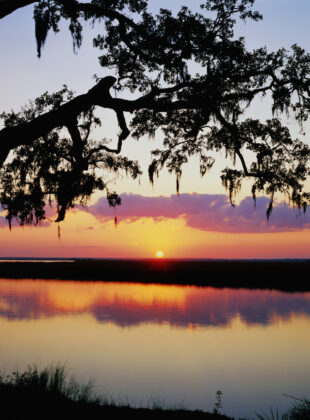 GettyImages 520349050