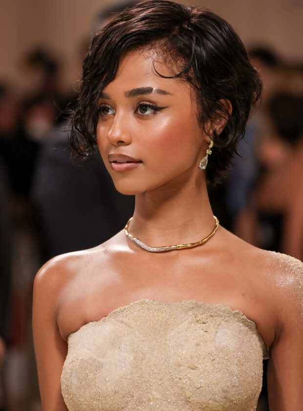 MET Gala 2024