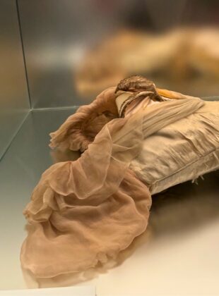 sleeping beauties reawaking fashion