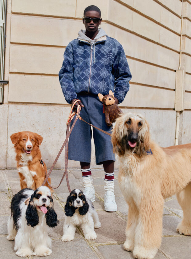 pet shop de luxo