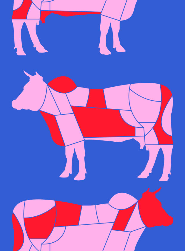 carne para churrasco abre