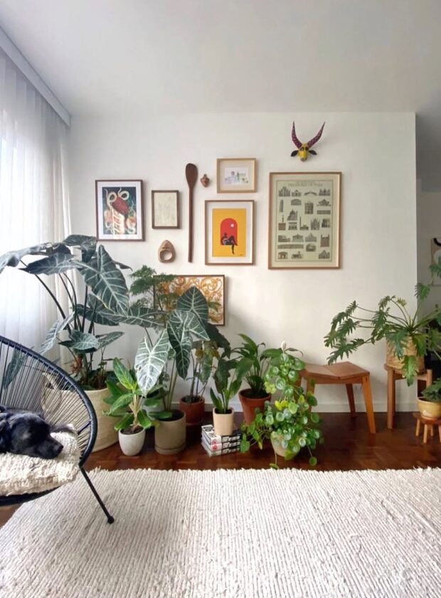 plantas de casa