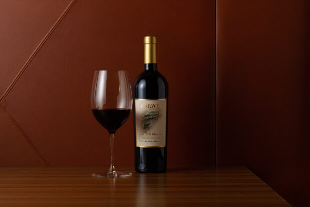 GARZON Petit Clos Cabernet Franc 2018