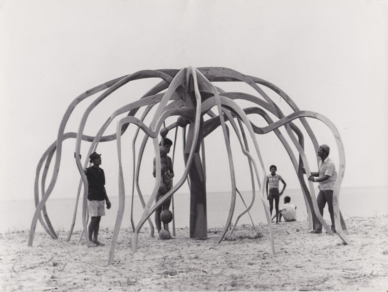 Frans Krajcberg A flor do mangue circa 1970. IPAC