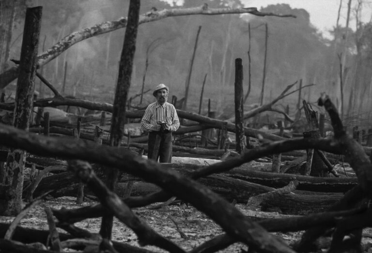 Krajcberg queimada Juruena 1984 Foto Sepp Baendereck