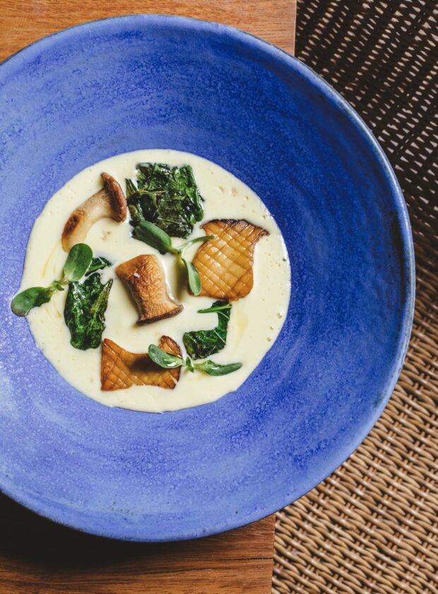 Terraco Bruno Geraldi