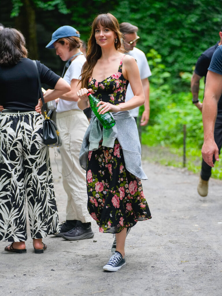 dakota johnson em amores materialistas