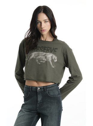 Ellus e Oncafari home interna copiar