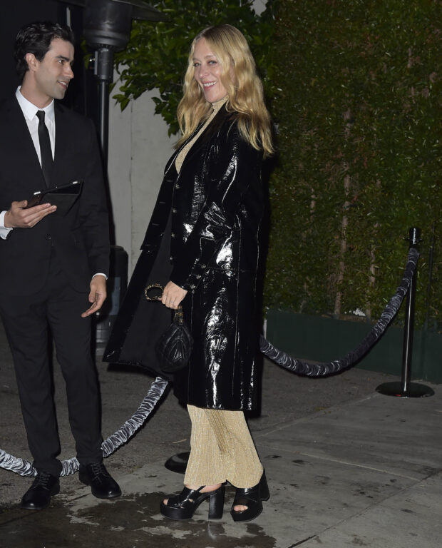  looks da Chloë Sevigny