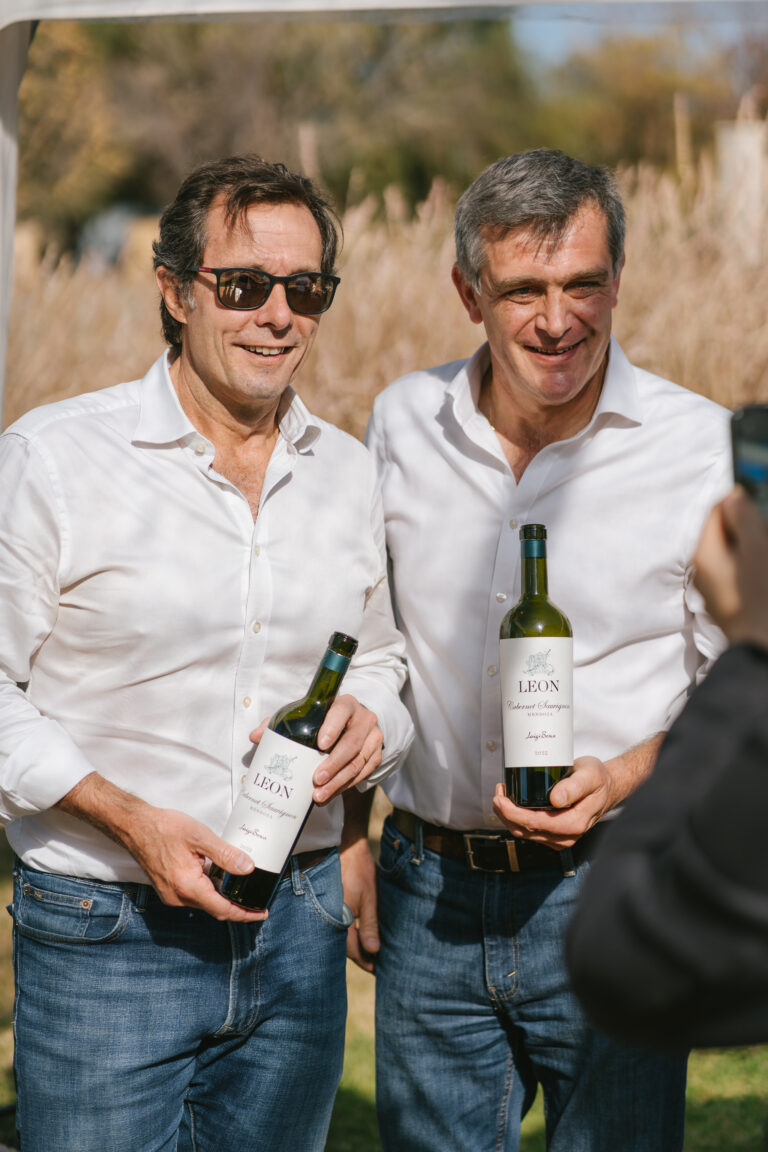 cabernet sauvignon