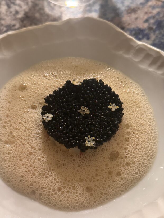 WhatsApp Image 2025 08 15 at 11.04.38