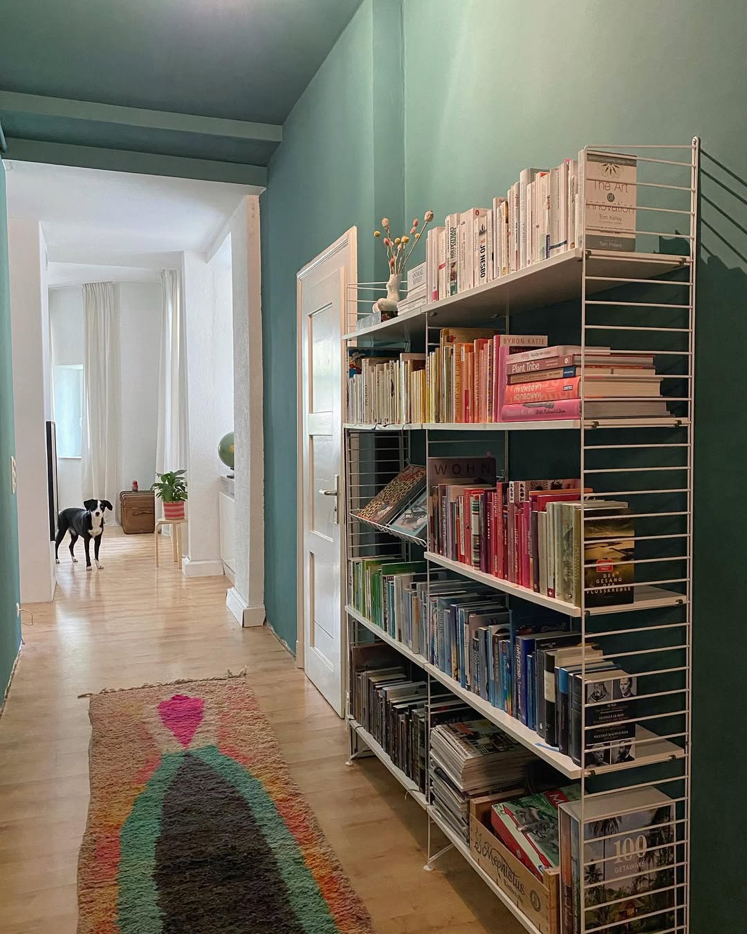 corredor decorado SaveClip.App 176214130 265600088621045 3511035450895913949 n