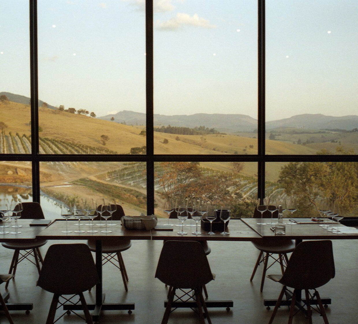 Casa tés, a vinicola que quer produzir o cheval blanc brasileiro