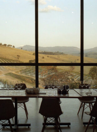 Casa tés, a vinicola que quer produzir o cheval blanc brasileiro