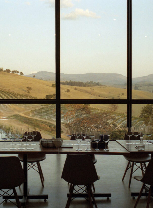 Casa tés, a vinicola que quer produzir o cheval blanc brasileiro