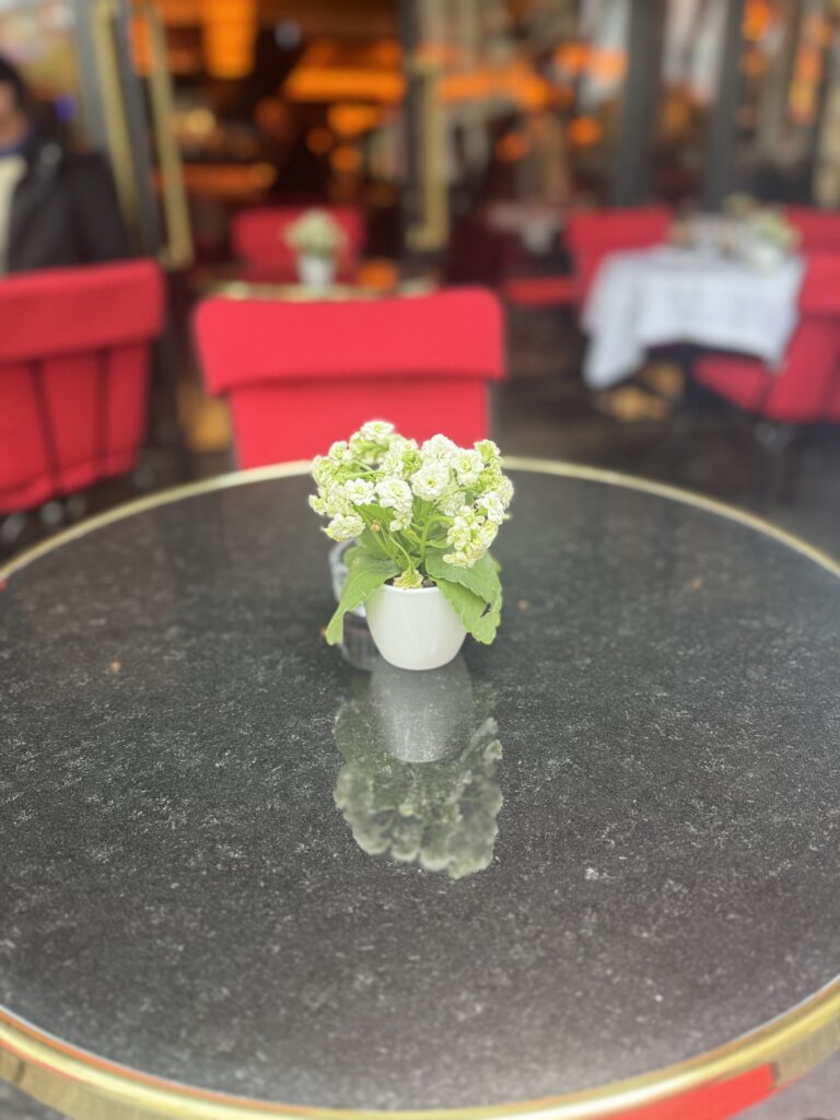 7 programas para curtir a capital francesa na semana de moda de Paris IMG 1543