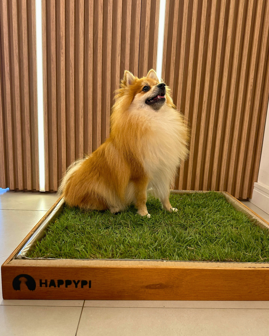 SaveClip.App 536433440 17957985926979158 8379796369642383983 n