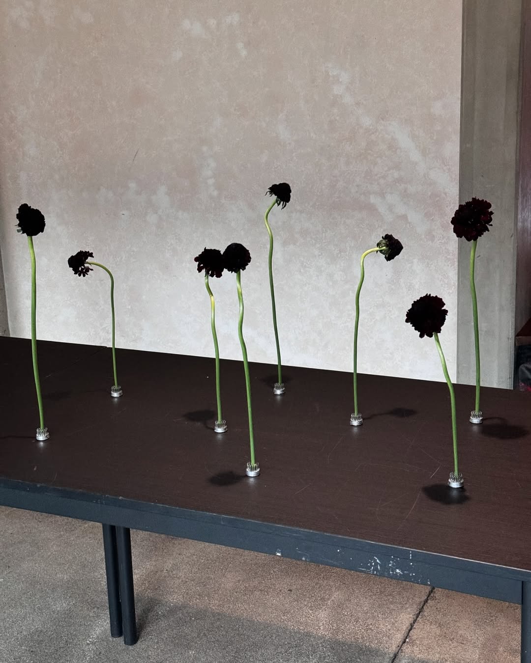 arranjo de mesa SaveClip.App 465573238 9421116087916784 7937322941592679422 n