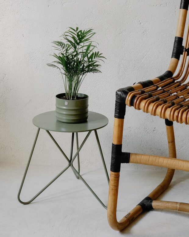 lojas de decoracao online SaveClip.App 491470109 18494777464005945 2271071696798970505 n
