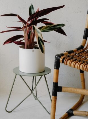 Lojas de decoração online