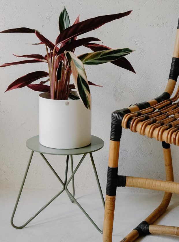 Lojas de decoração online
