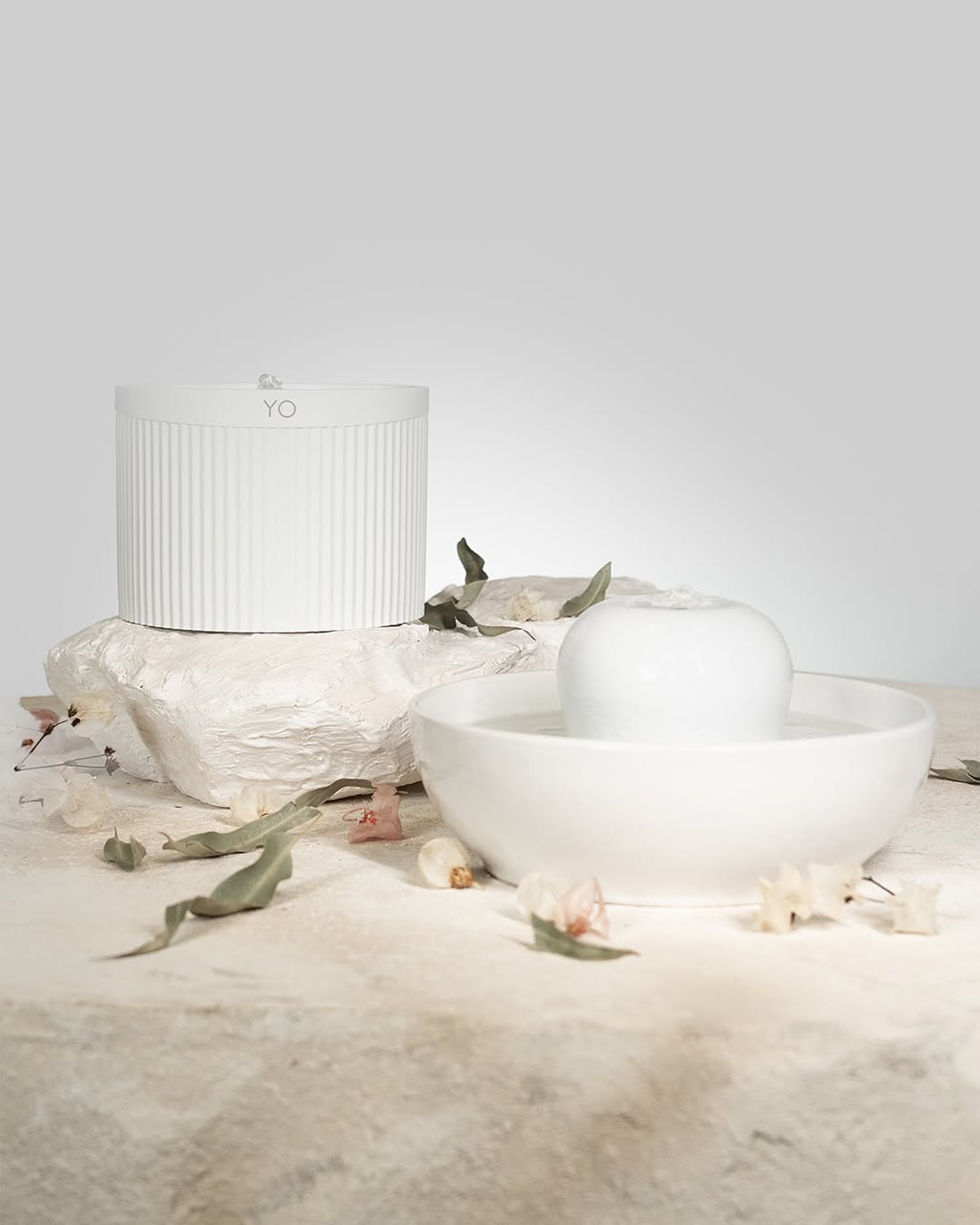 pets em casa SaveClip.App 470235470 18041883167227654 3243686313284784672 n