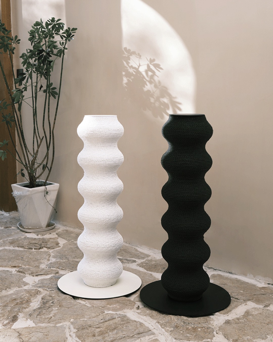 pets em casa SaveClip.App 496861633 17975678048845602 2821605904165924881 n