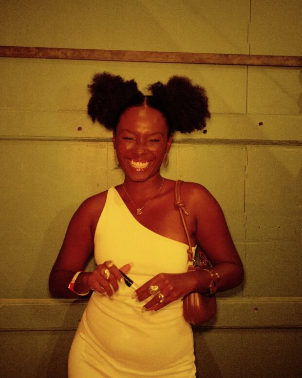 penteados fáceis para cabelos crespos