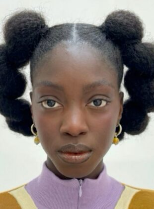 penteados fáceis para cabelos crespos