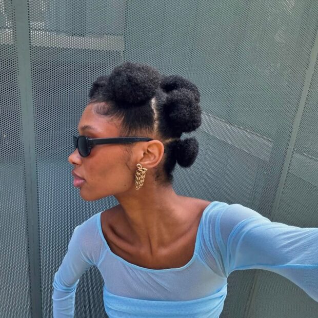 penteados fáceis para cabelos crespos