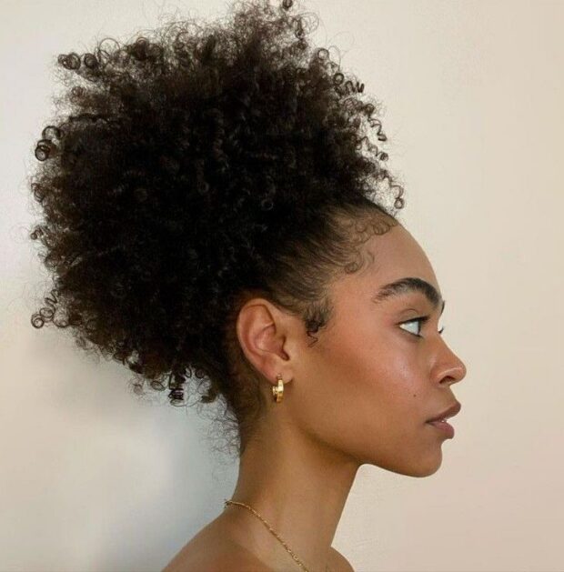 14 penteados fáceis para cabelos crespos que valorizam sua textura natural penteados fáceis para cabelos crespos