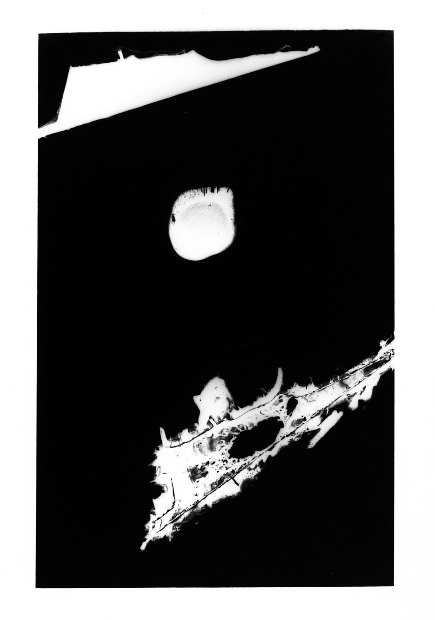 exposições em São Paulo