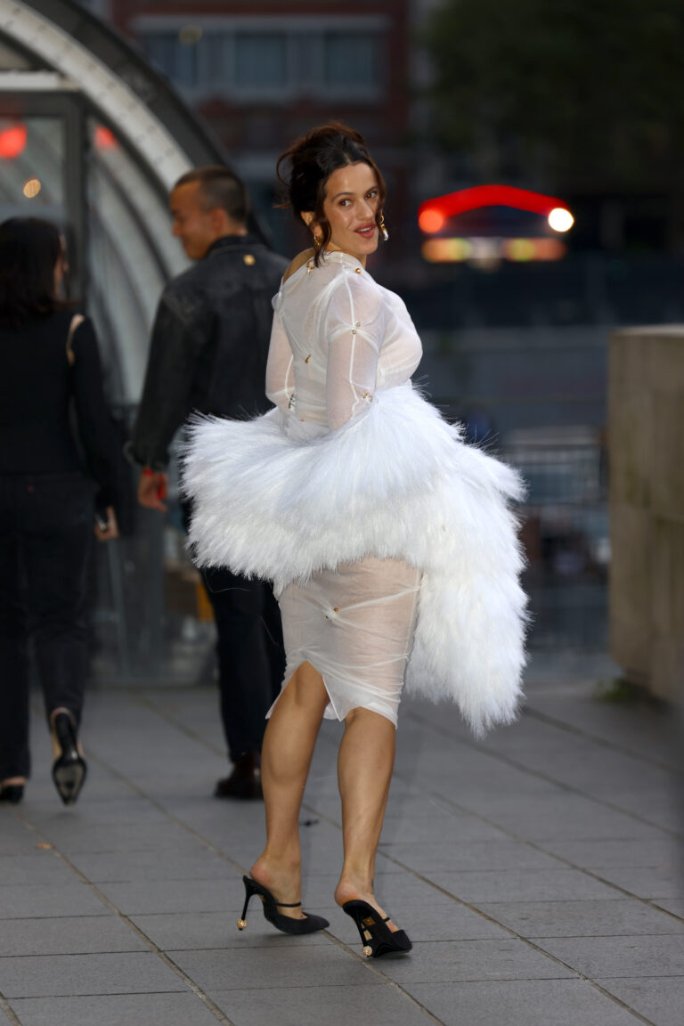 Como Rosalía adiantou o tema do álbum LUX em seus looks como rosalía divulgou lux pelos seus looks looks da rosalía lux