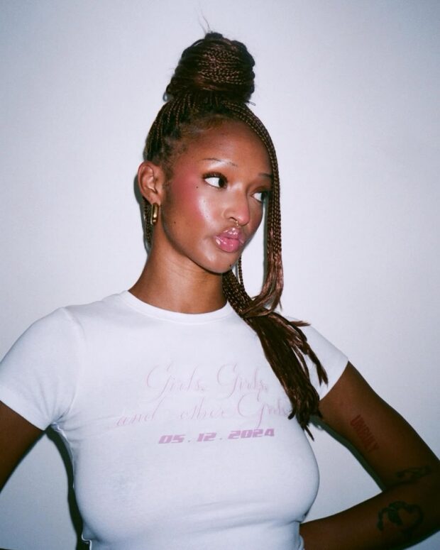 12 penteados com box braids para se inspirar nas festas de fim de ano penteados com box braids