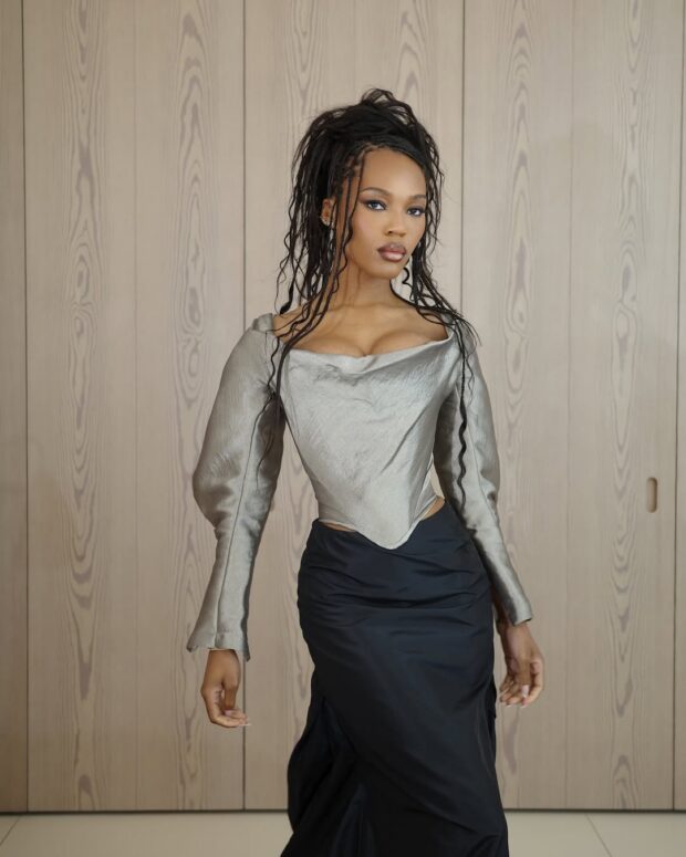 12 penteados com box braids para se inspirar nas festas de fim de ano penteados com box braids