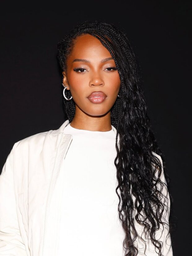 12 penteados com box braids para se inspirar nas festas de fim de ano penteados com box braids