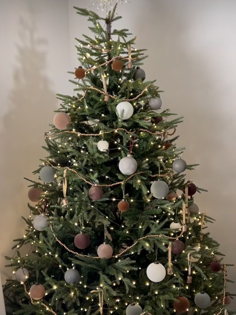 SaveClip.App 561467267 18066790448459873 9104172612933636038 n