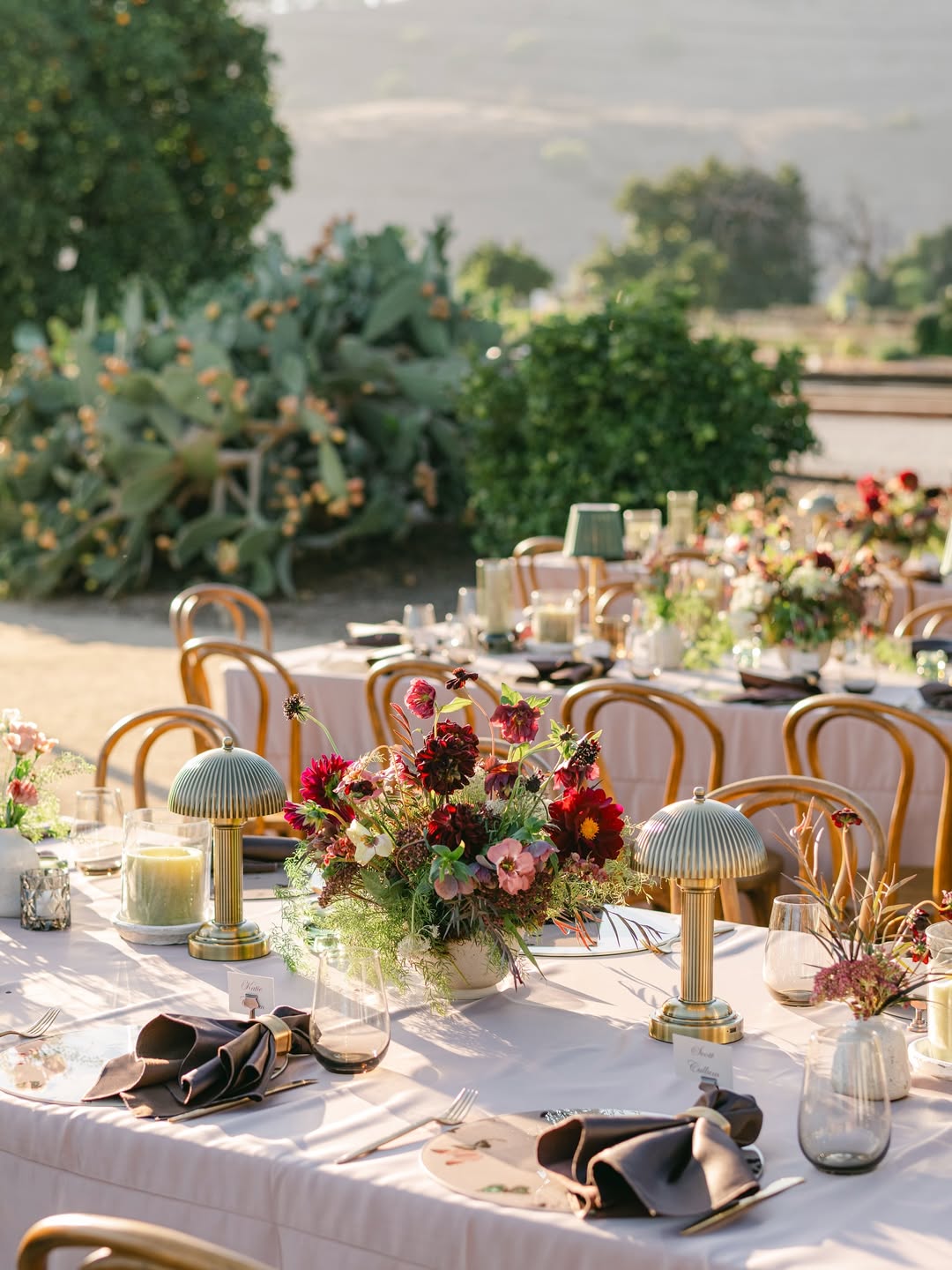 SaveClip.App 572136536 18534461707025191 4878371425214437674 n