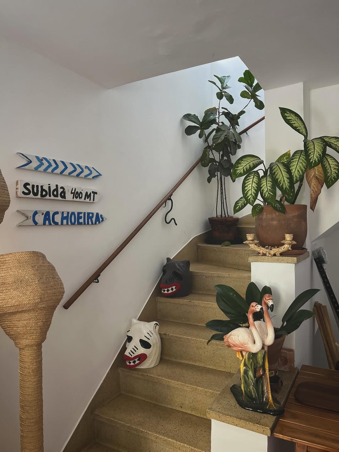 decoracao de casa simples SaveClip.App 527352741 18515179714035710 6535485738667365707 n