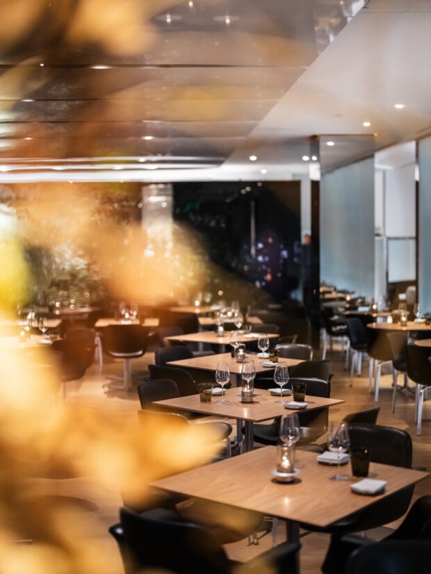 roteiro em nova york SaveClip.App 580121517 18553177810059692 1064332315760328831 n