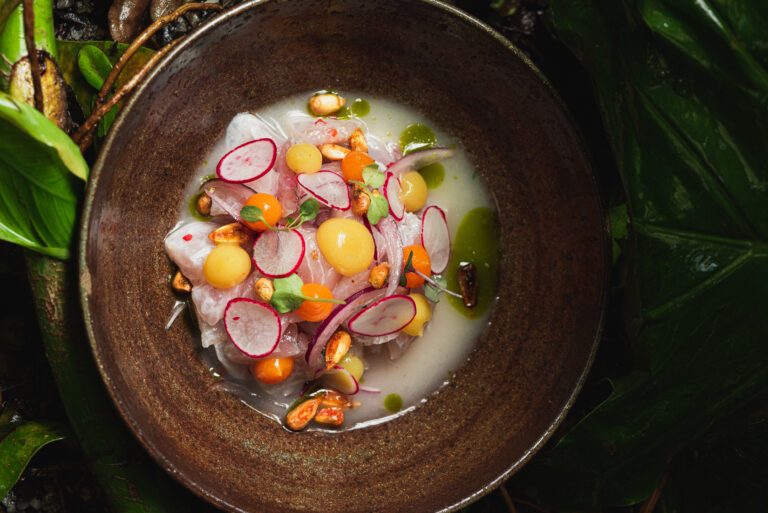 Amazo Peruano Cebiche Clasico Luiz Morales Tineo 1