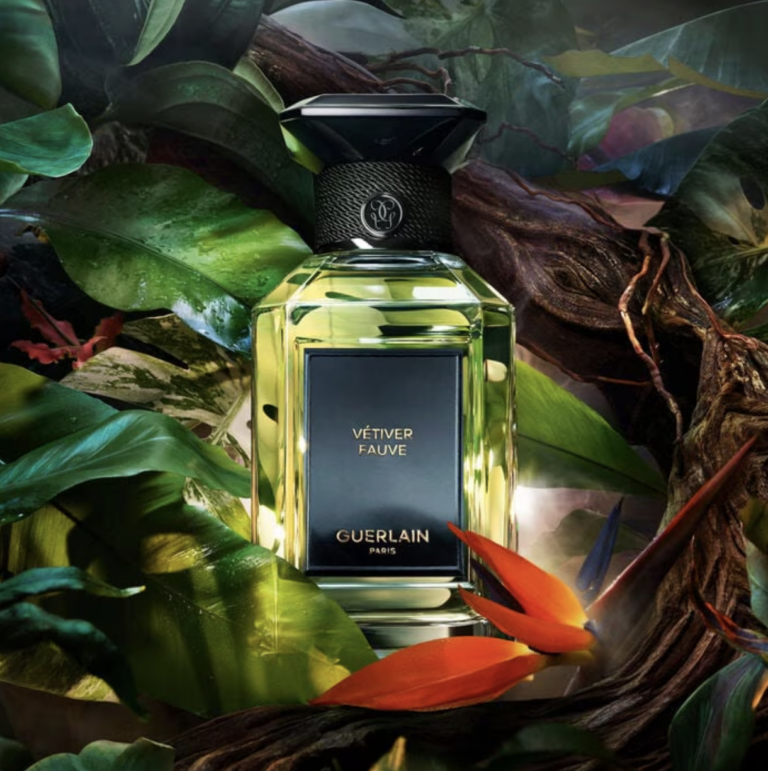 Lançamentos de beleza de dezembro